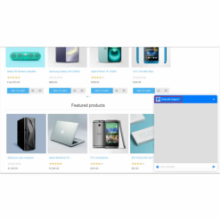 BSS Chat plugin user interface on nopCommerce store