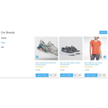 BSS product merchandising plugin in nopCommerce for popular brands display