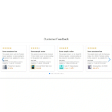 dynamic product carousel in nopCommerce with best seller discount and review slider