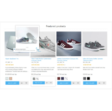 BSS Product Box Plugin Features in Storefront